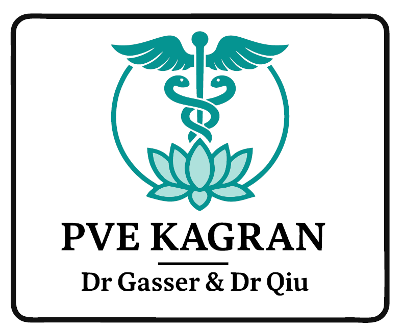 Logo PVE Kagran